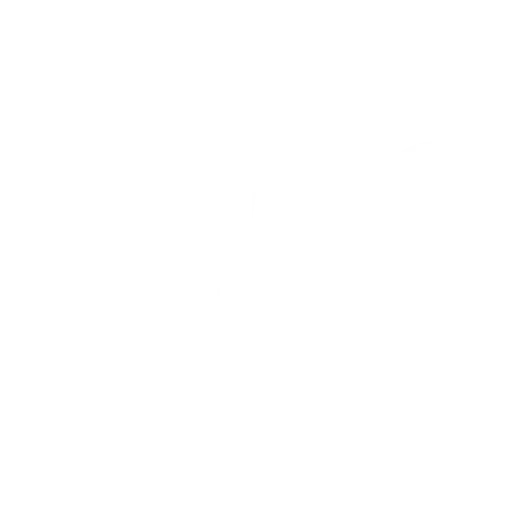 plumber icon